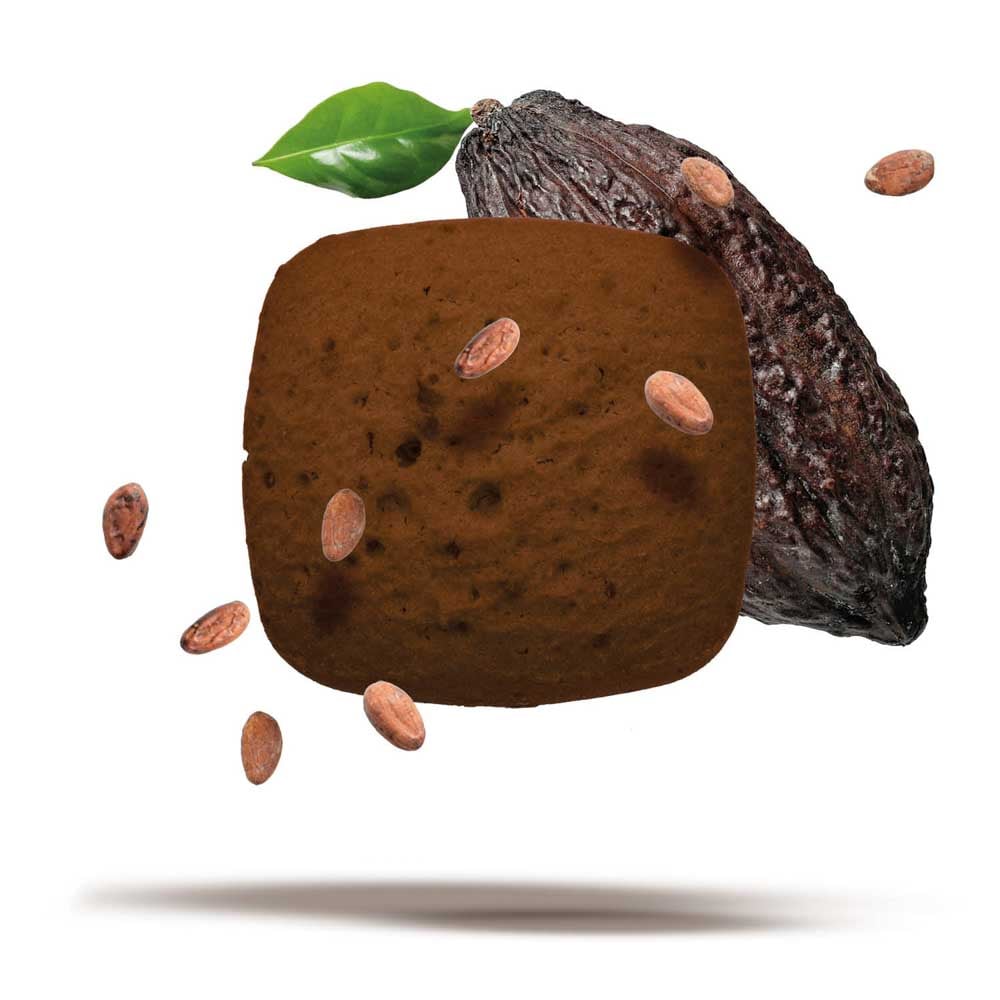 image Cookie/Biscout- Chocolate 50g (Stage 1 Protein Focused)